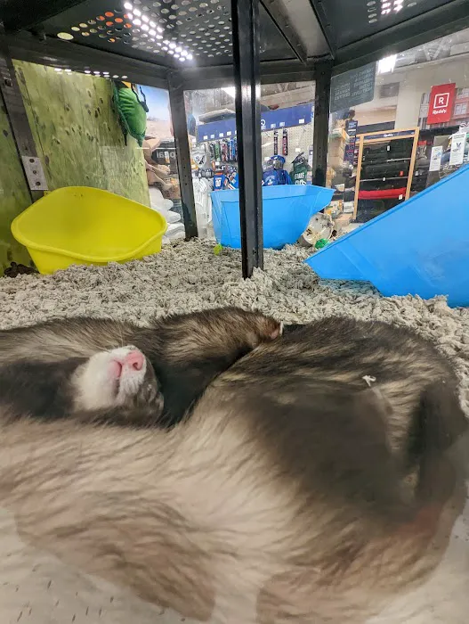 Petco Picture 4