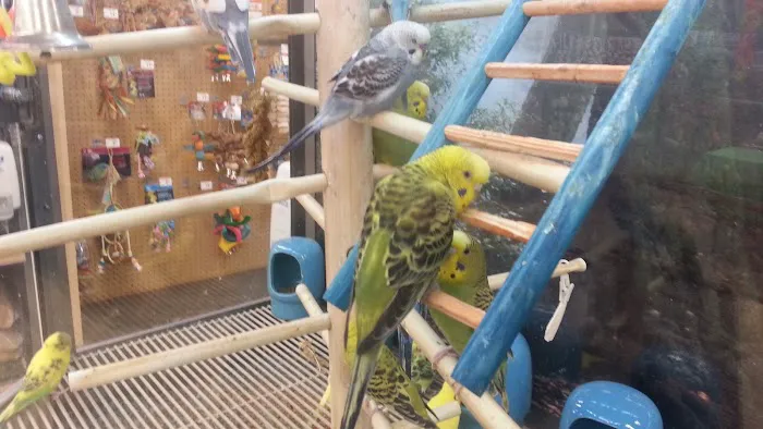Petco Picture 3