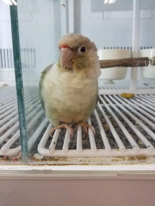 Petco Picture 2