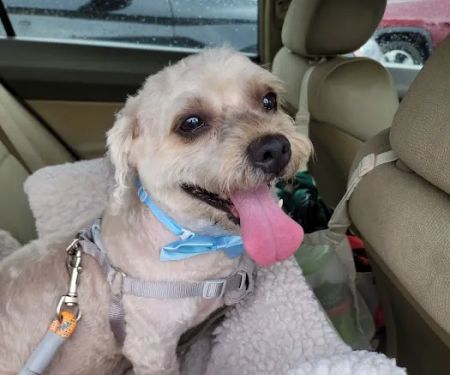 Petco