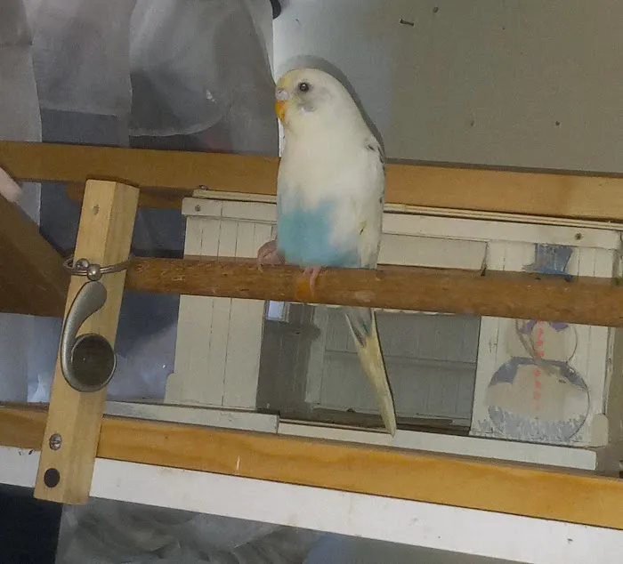 Petco Picture 7
