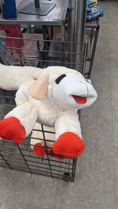 Petco Picture 9