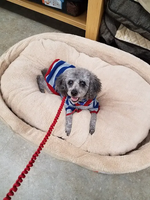 Petco Picture 4