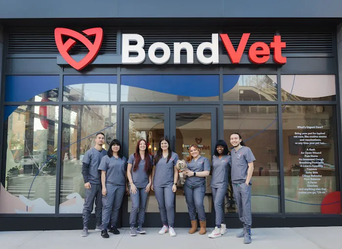 Bond Vet - Williamsburg Picture 7