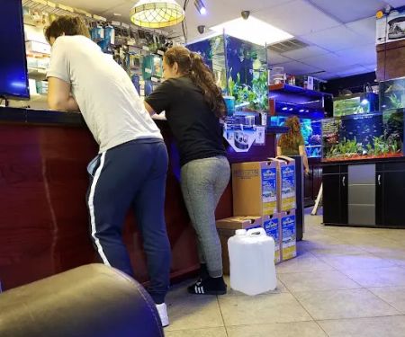 Total Aquariums