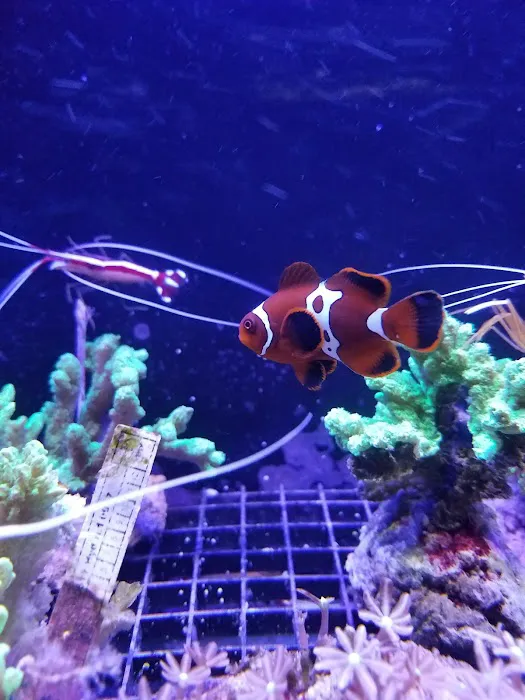 Total Aquariums Picture 2