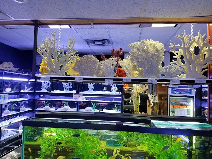 Total Aquariums Picture 5