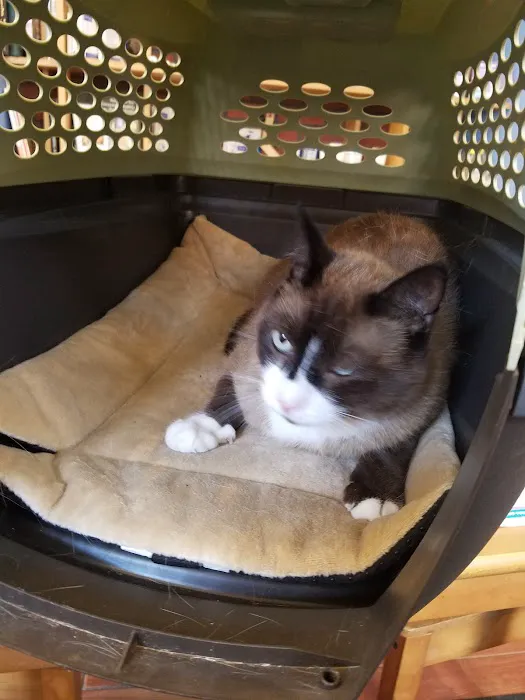 Greenpoint Veterinary Hospital Picture 10
