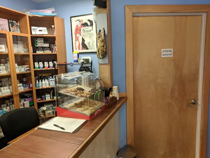 Greenpoint Veterinary Hospital Picture 3