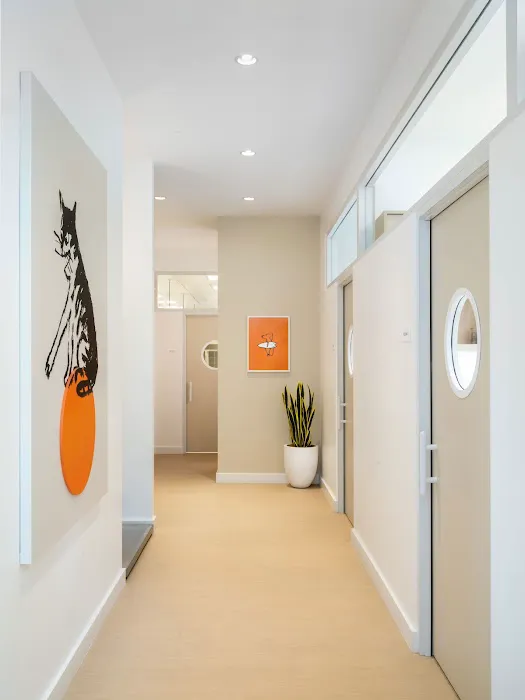 Small Door Veterinary - Williamsburg Picture 9