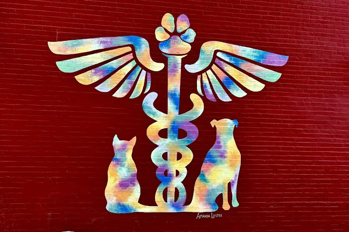 Northside Veterinary Clinic Picture 1