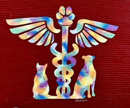 Northside Veterinary Clinic