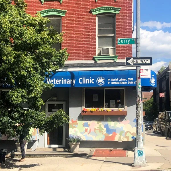 Northside Veterinary Clinic Picture 4