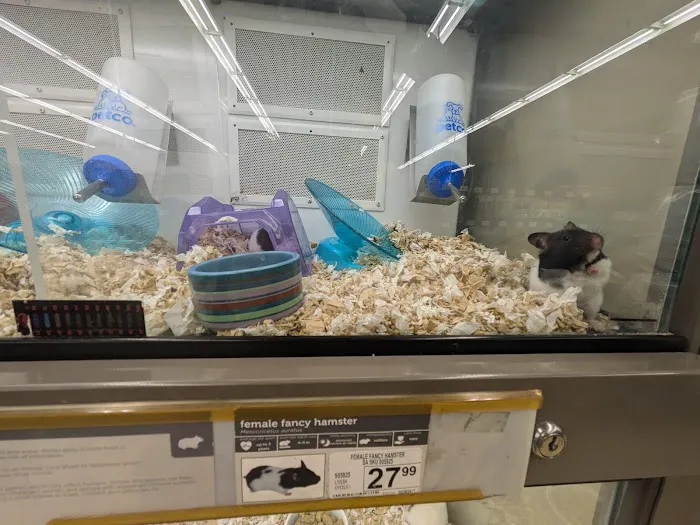 Petco Picture 5
