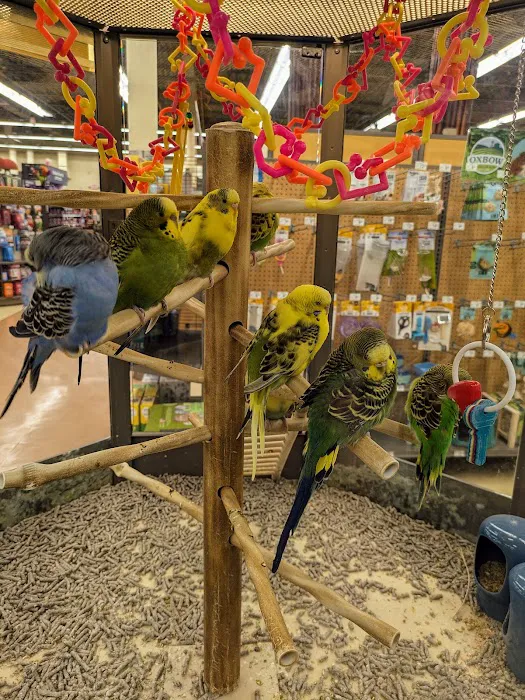 Petco Picture 8