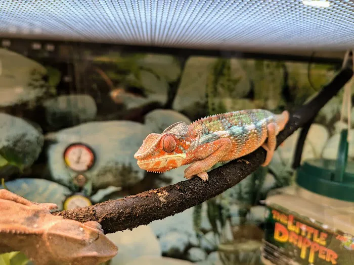 Petco Picture 4