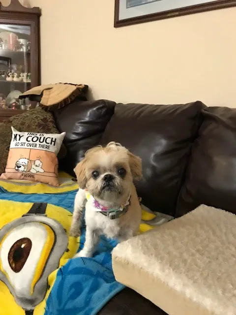 Petco Picture 2