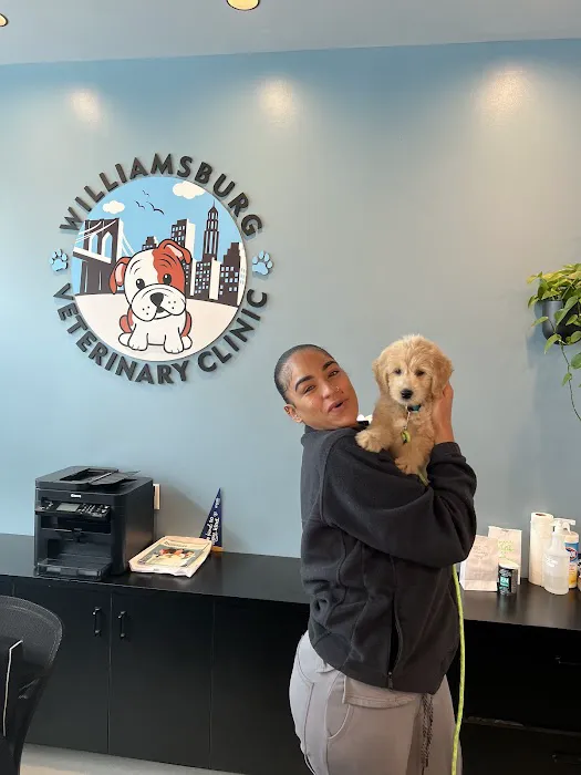 Williamsburg Veterinary Clinic Picture 1