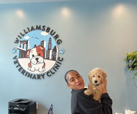 Williamsburg Veterinary Clinic