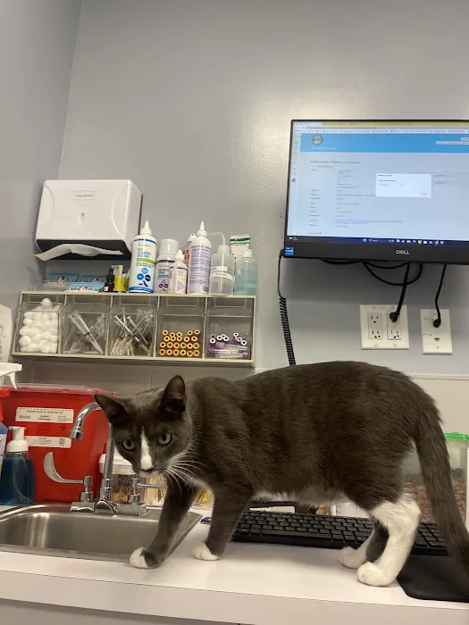 Williamsburg Veterinary Clinic Picture 3