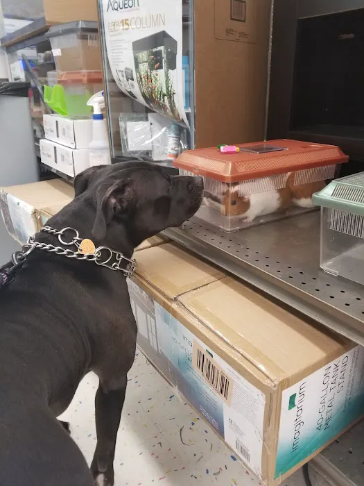 Petco Picture 2