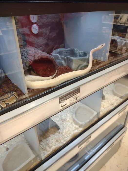 Petco Picture 9