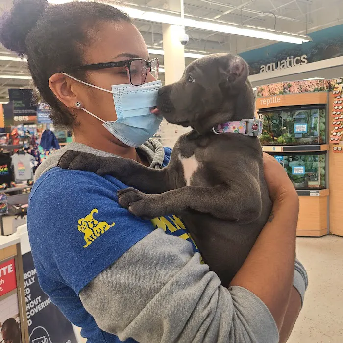 Petco Picture 5