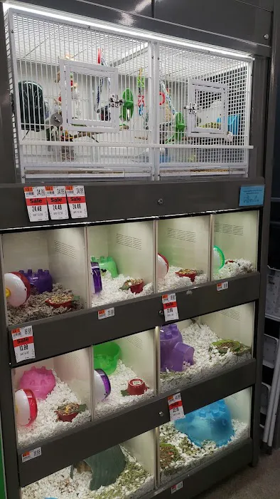 Pet Supplies Plus Groton Picture 3