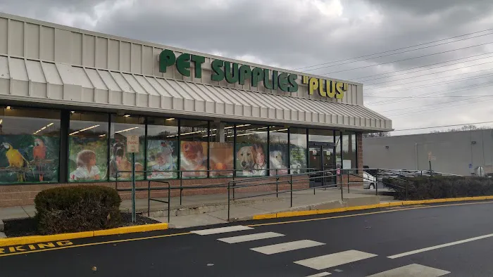 Pet Supplies Plus Groton Picture 1