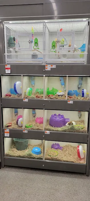 Pet Supplies Plus Groton Picture 6