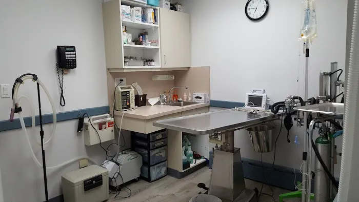 Ark Life Veterinary Picture 7