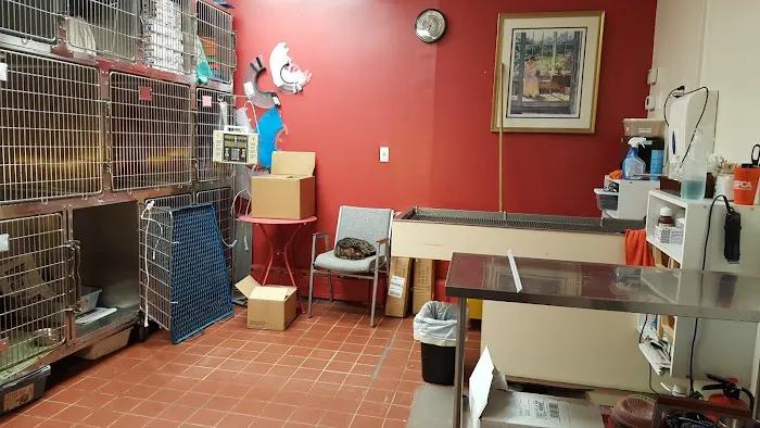Ark Life Veterinary Picture 6