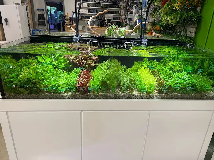 OSA Aquarium Superstores & Services - Groton CT Picture 3