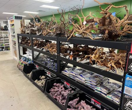OSA Aquarium Superstores & Services - Groton CT