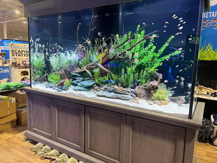 OSA Aquarium Superstores & Services - Groton CT Picture 5