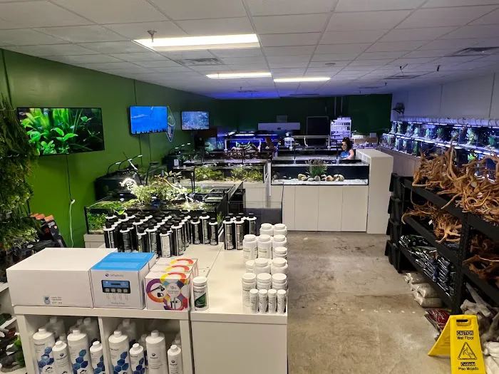 OSA Aquarium Superstores & Services - Groton CT Picture 7