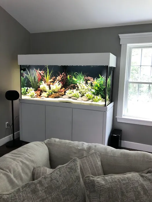 OSA Aquarium Superstores & Services - Groton CT Picture 6