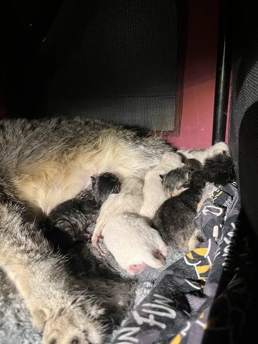 Skillman Animal Clinic Picture 5
