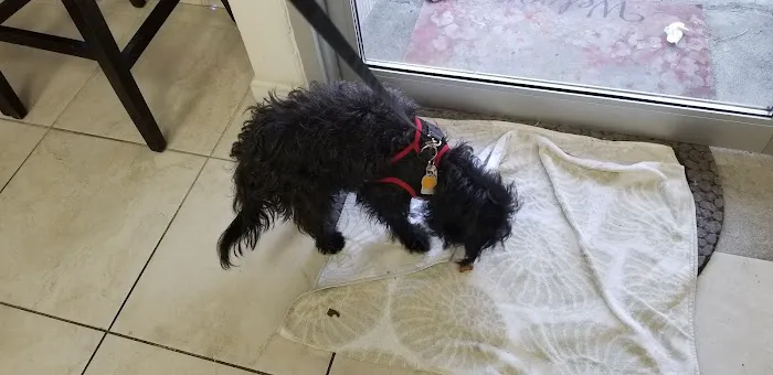 Skillman Animal Clinic Picture 2