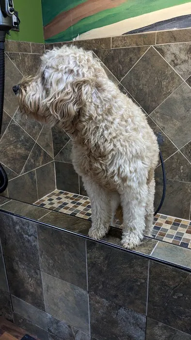 Wagging Tails Pet Shop Picture 3