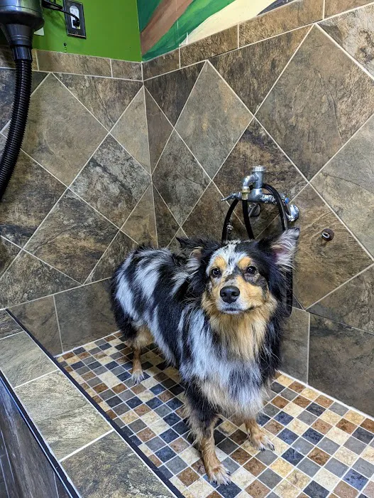 Wagging Tails Pet Shop Picture 8