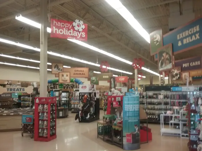 Petco Picture 2