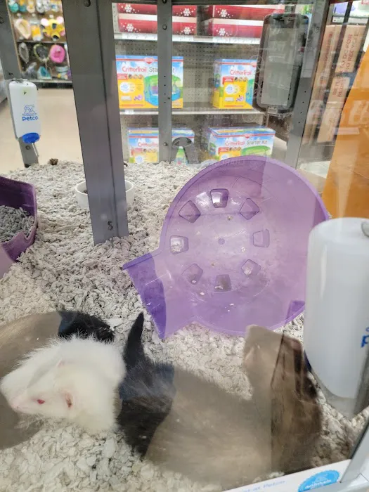 Petco Picture 7