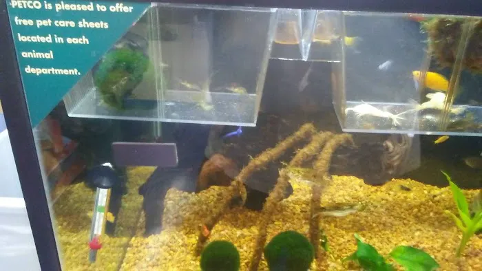 Petco Picture 9