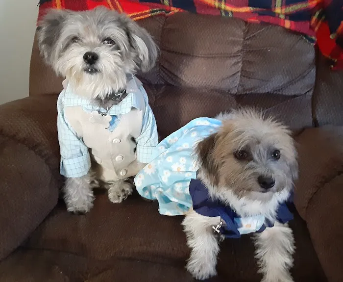 Petco Picture 10