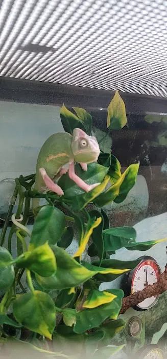 Petco Picture 4