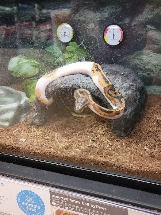 Petco Picture 8