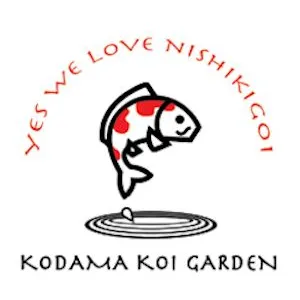 Kodama Koi Garden NY Picture 5