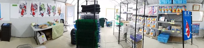 Kodama Koi Garden NY Picture 1