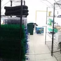 Kodama Koi Garden NY ico